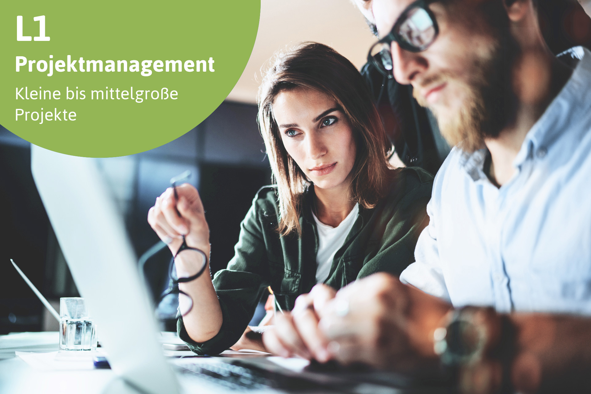 BOVIIT Projektmanagement L1